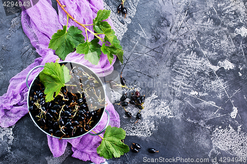 Image of black currant