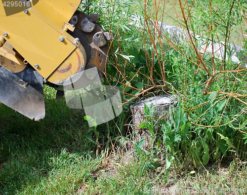 Image of Tree stump machine.