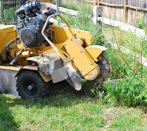 Image of Tree stump machine.