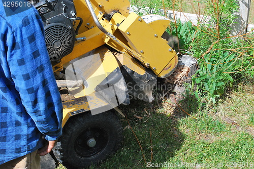 Image of Tree stump machine.