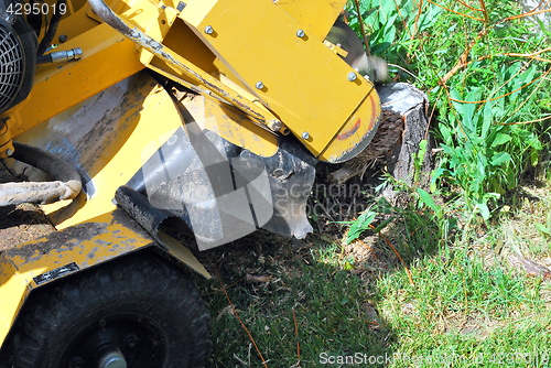 Image of Tree stump machine.