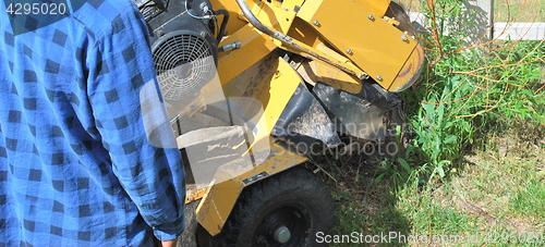 Image of Tree stump machine.
