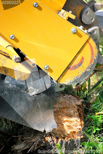 Image of Tree stump machine.