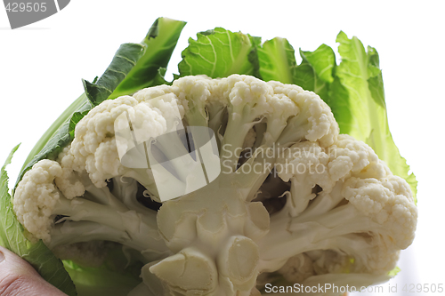 Image of cut cauliflower