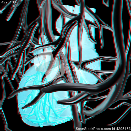 Image of Human heart and veins. 3D illustration.. Anaglyph. View with red