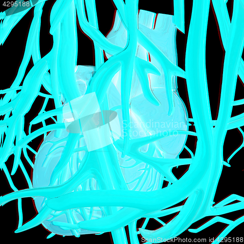 Image of Human heart and veins. 3D illustration.. Anaglyph. View with red