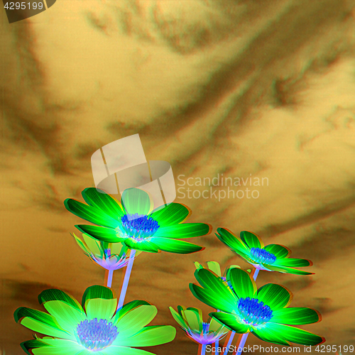 Image of Beautiful Cosmos Flower against the sky. 3D illustration.. Anagl