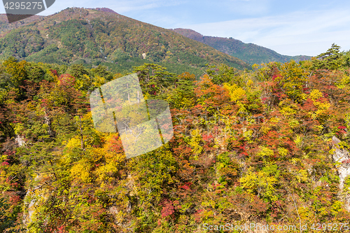 Image of Naruko Gorge in autumn