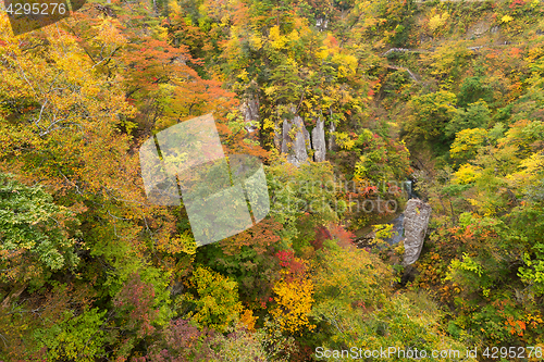 Image of Naruko canyon in autumn season