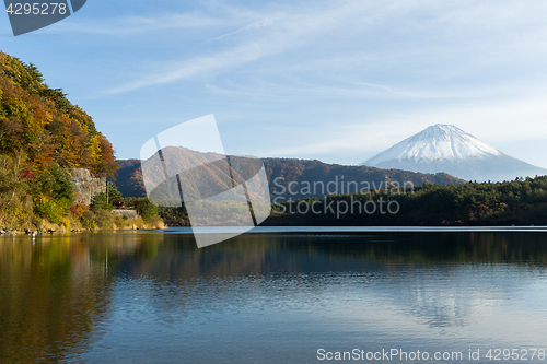 Image of Fujisan and Saiko Lake