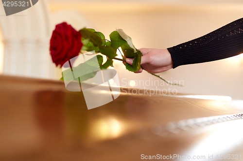 Image of woman with red roses and coffin at funeral