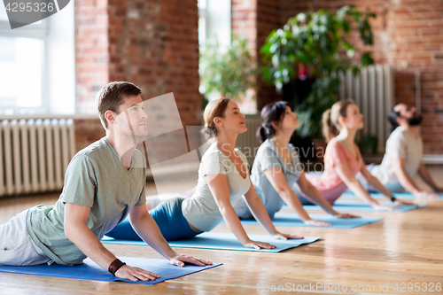 Image of group of people doing yoga cobra pose at studio