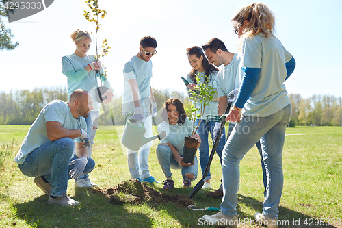 Image of group of volunteers planting tree in park