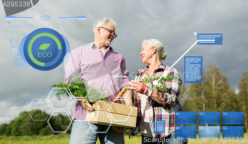 Image of senior couple with box of carrots on farm