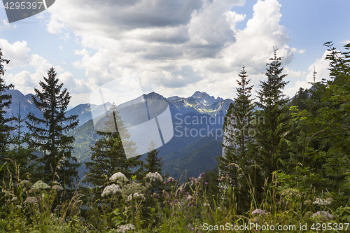 Image of Panorama view from Bavarian Alps, Germany