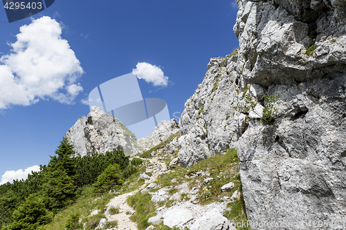 Image of Hiking in Bavarian Alps, Germany