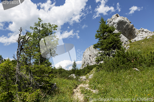 Image of Hiking in Bavarian Alps, Germany