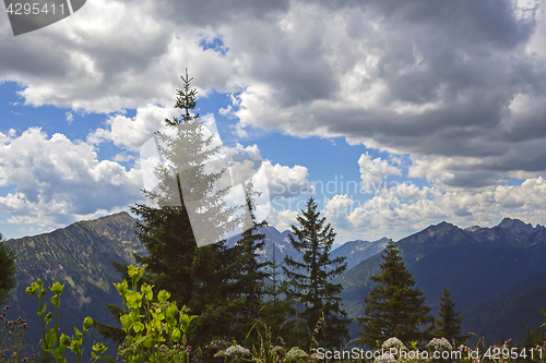 Image of Panorama view from Bavarian Alps, Germany