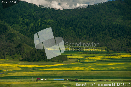 Image of Beauty colors of summer Altai