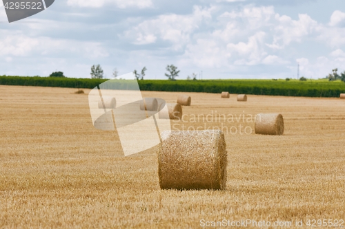 Image of Agricultural field with bales