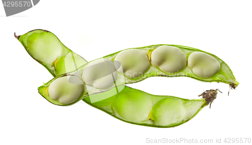 Image of Bean pod isolated on white background