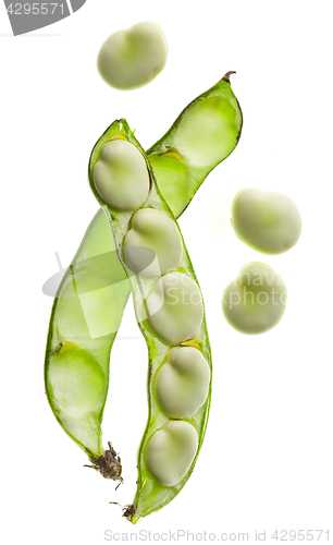 Image of Bean pod isolated on white background