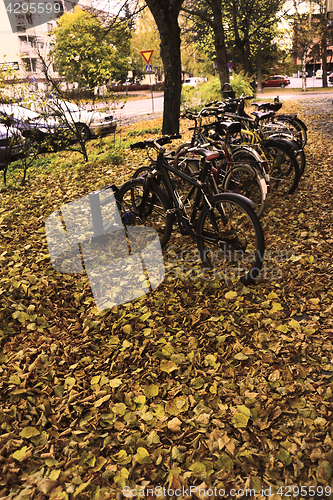 Image of row of bicycles among fallen leaves