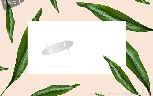 Image of green leaves over white blank space on beige