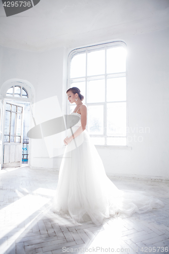 Image of Beautiful bride in wedding dress, white background