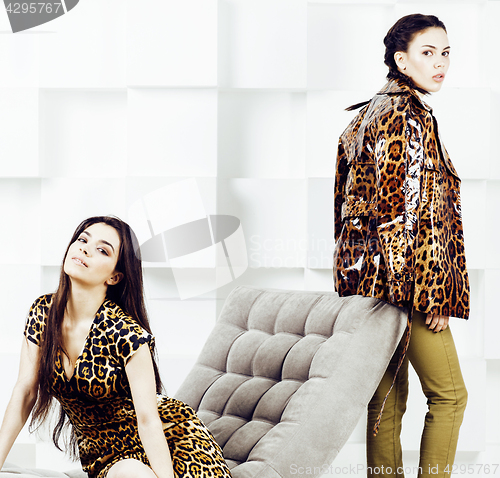 Image of pretty stylish woman in fashion dress with leopard print together in luxury rich room interior, lifestyle people concept, modern brunette together 