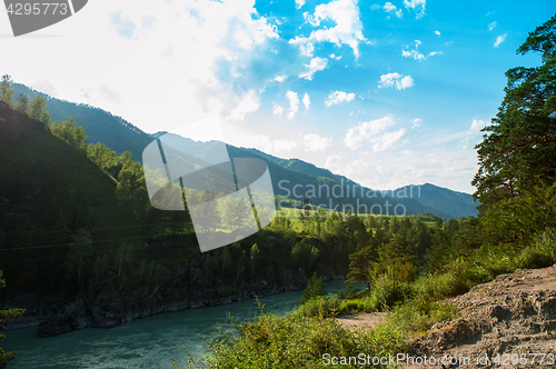 Image of Sunny day in mountain on river Katun