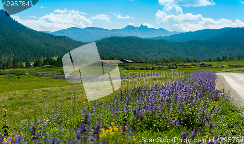 Image of Rural road in mountains