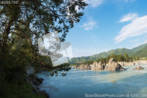 Image of Fast mountain river Katun