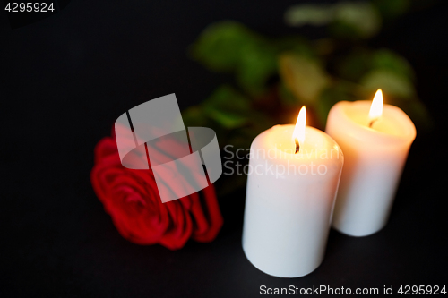 Image of red rose and burning candles over black background