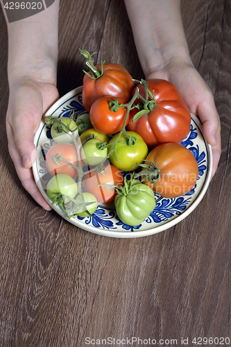 Image of Fresh tomatoes in hands 