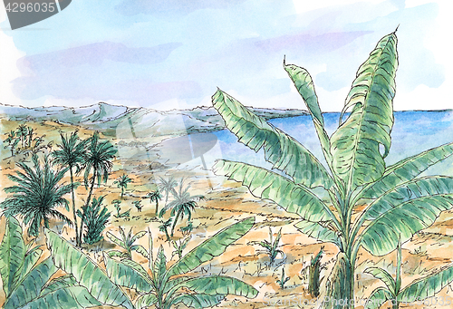 Image of Caribbean landscape with banana and palm trees