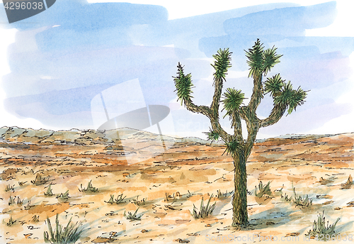 Image of Desert landscape with Joshua tree (Yucca brevifolia)