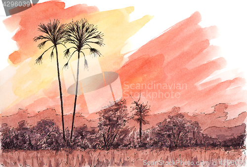 Image of African sunset with palm trees