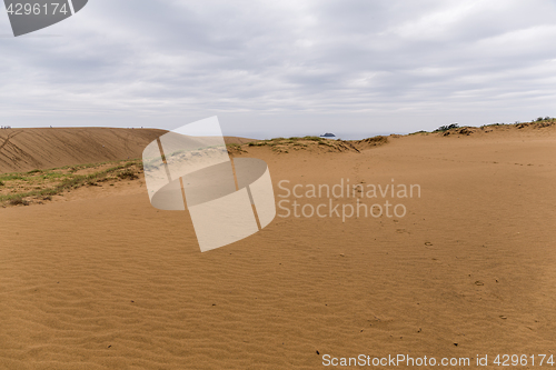 Image of Tottori Dunes