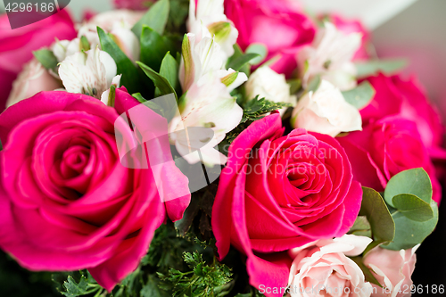 Image of Pink roses