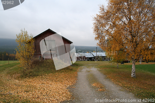 Image of Autum colors