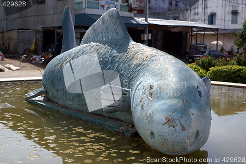 Image of Big fish