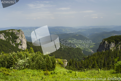 Image of Summer mountain pasture landscape