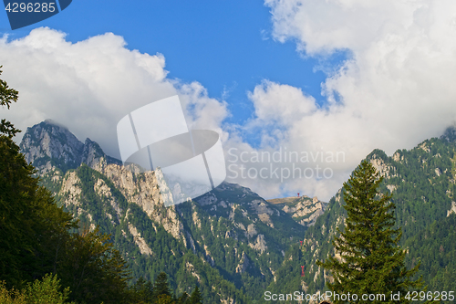 Image of Alpine summer mountain forest