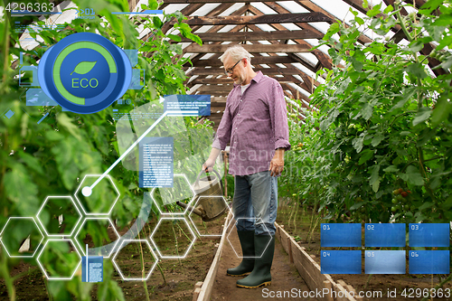 Image of senior man with watering can at farm greenhouse