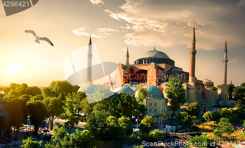 Image of Bird and Hagia Sophia