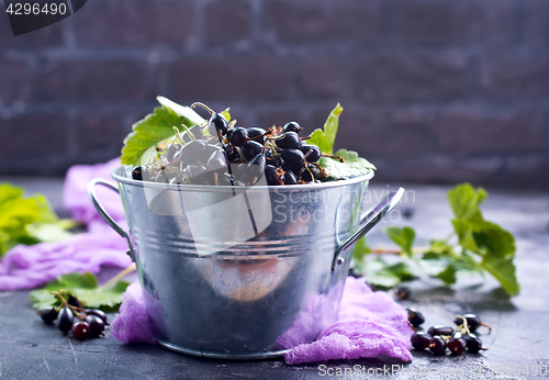 Image of black currant