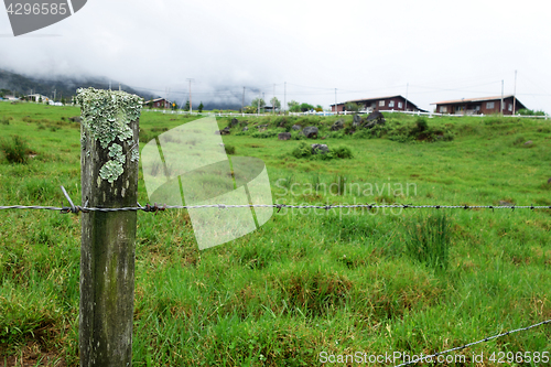 Image of Cattle Farm in Kundasang Sabah