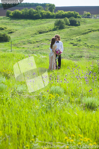 Image of Just married loving couple in wedding dress on green field in a forest at summer