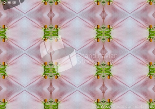 Image of pink and green pattern